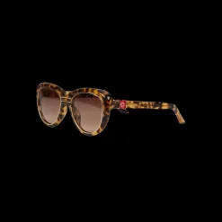 Gold & Brown The Wing Sunglasses