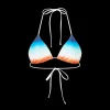 Gradient Bikini Top