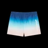 Jacquard Gradient Swim Shorts