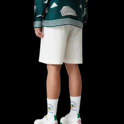 Men's Court White & Green Sneaker