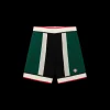 Striped Mesh Shorts